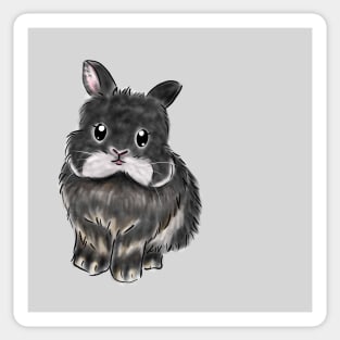 Fluffy Furry Black Rabbit _ Bunniesmee Sticker